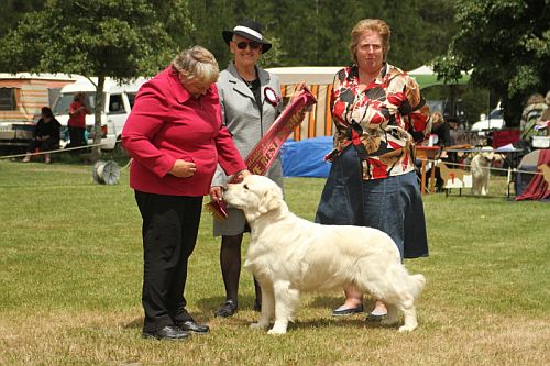 Best Dog and Reserve Best In Show